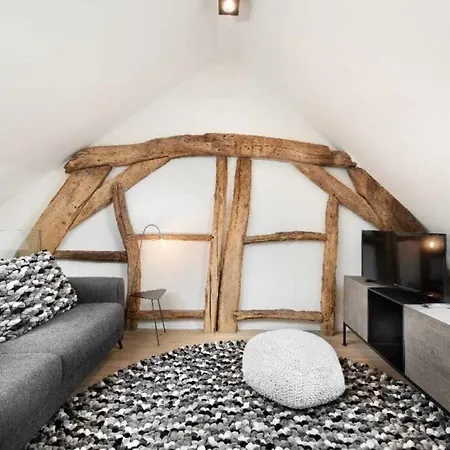 Tatil Evi Loft Dans Ancienne Grange - Sauna Prive *