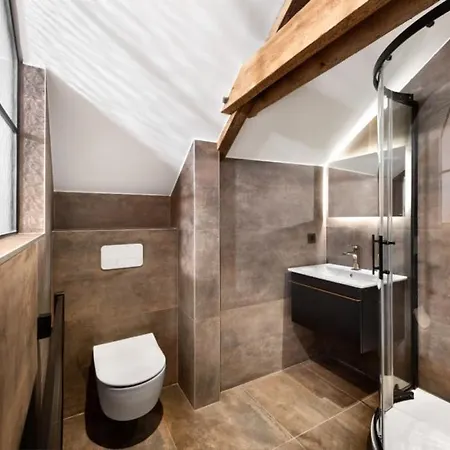 Loft Dans Ancienne Grange - Sauna Prive Tatil Evi Soumagne