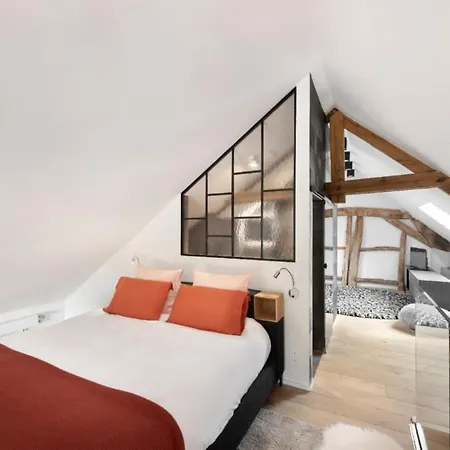 Loft Dans Ancienne Grange - Sauna Prive Tatil Evi Soumagne